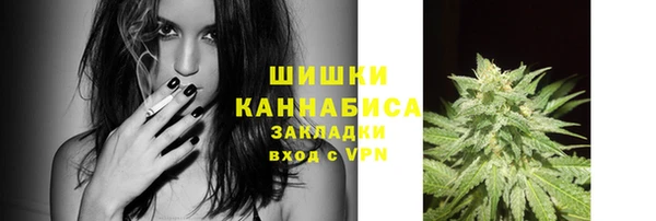 дживик Киреевск