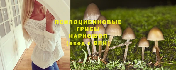 дживик Киреевск
