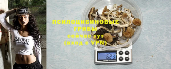 дживик Киреевск